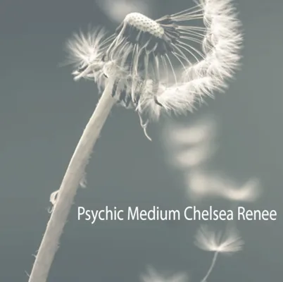 Medium Chelsea Renee